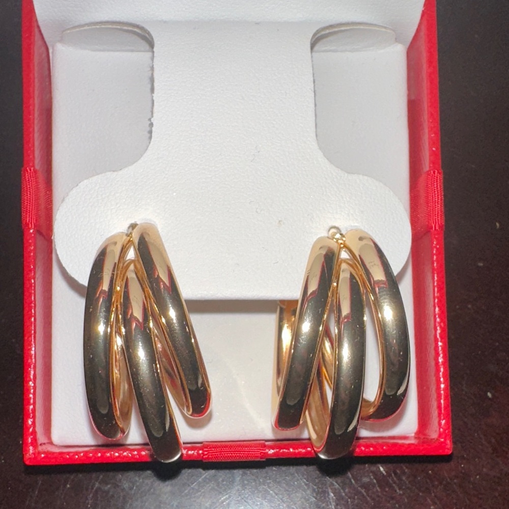 Elegant Gold Hoop Earrings